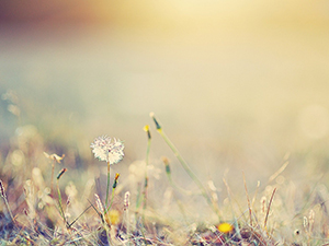 windows中使用sfc及Dism命令，修復系統文件